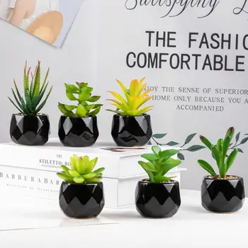 Kiváló minőségű mesterséges növény újrafelhasználható széles körű alkalmazás Kiváló természetes asztali dekoráció Mesterséges pozsgás növények Bonsai
