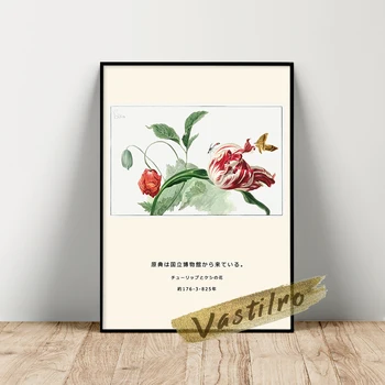 Willem Van Leen Múzeum kiállítási plakátja, Willem Leen Tulipán és egy mákfali kép, Vintage növényi falfestmények, viráglevélnyomatok